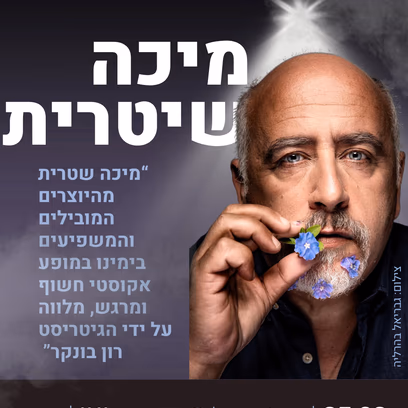 מיכה שיטרית