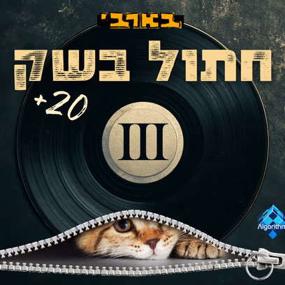 חתול בשק!