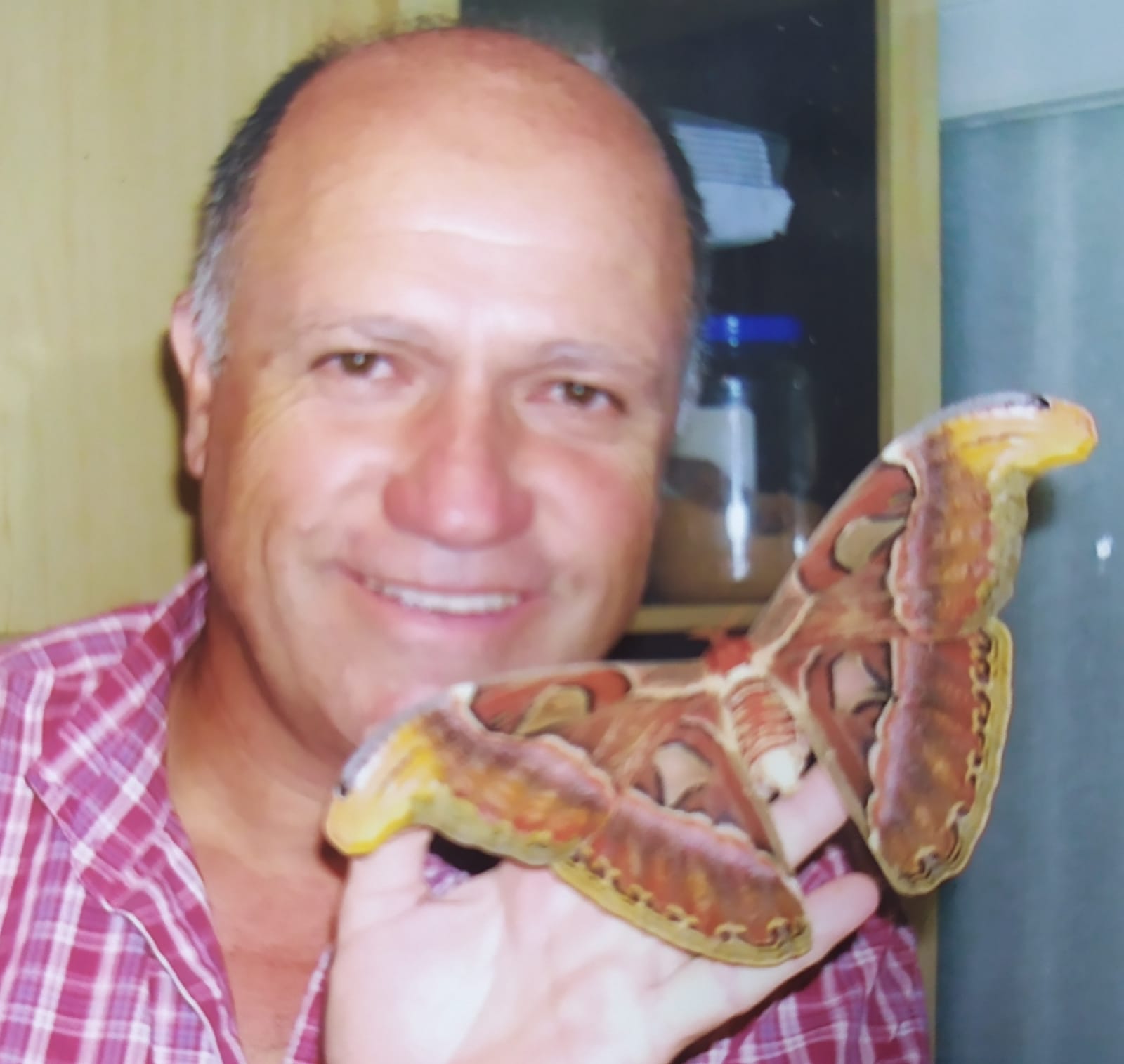 חיות הקיץ של אלי מגיעות למוזיאון