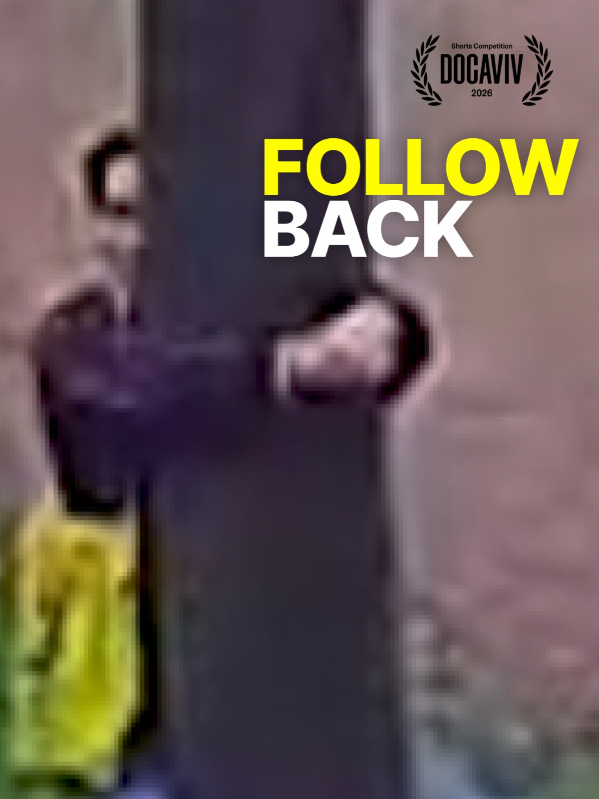 Follow Back