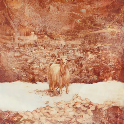 Palace: Solo Exhibition by Hanita Ilan