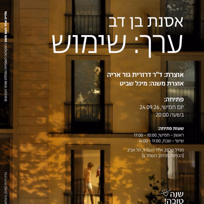 אסנת בן דב ערך: שימוש