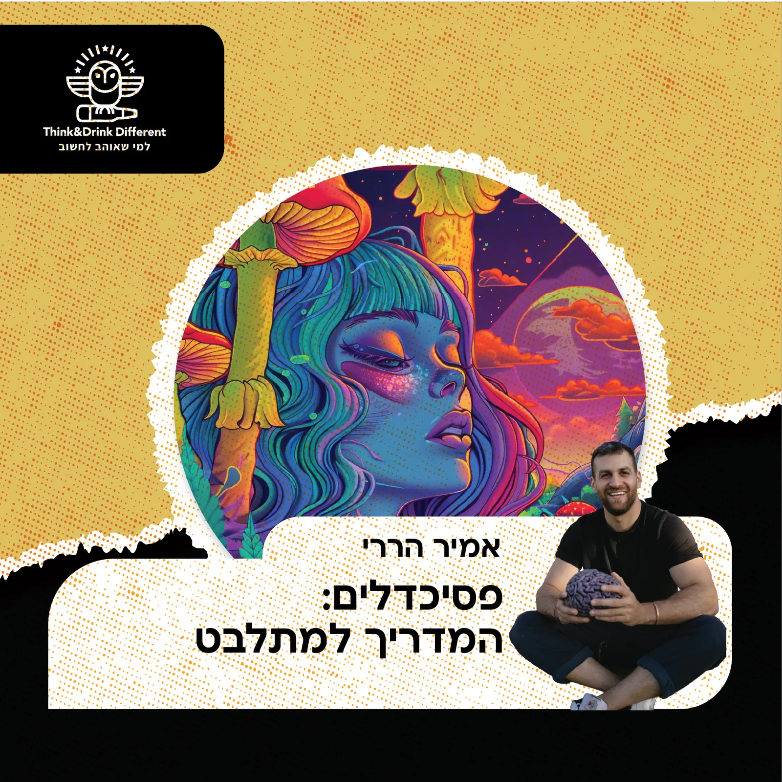 אמיר הררי- פסיכדליים: המדריך למתלבט