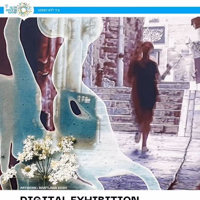 Digital Exhibition at Laila Lavan
