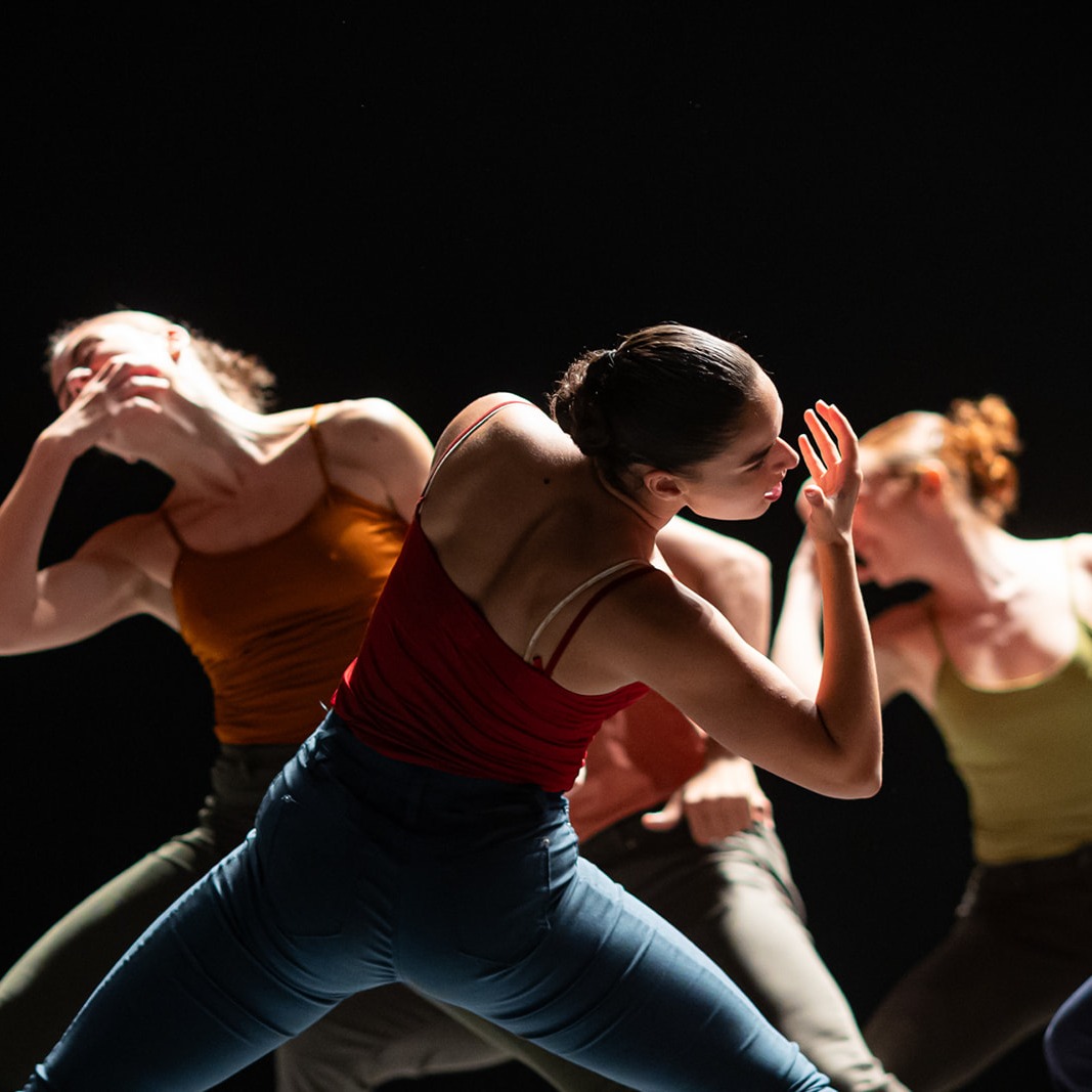Decadance by Ohad Naharin