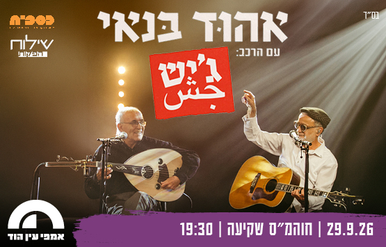 Ehud Banai
