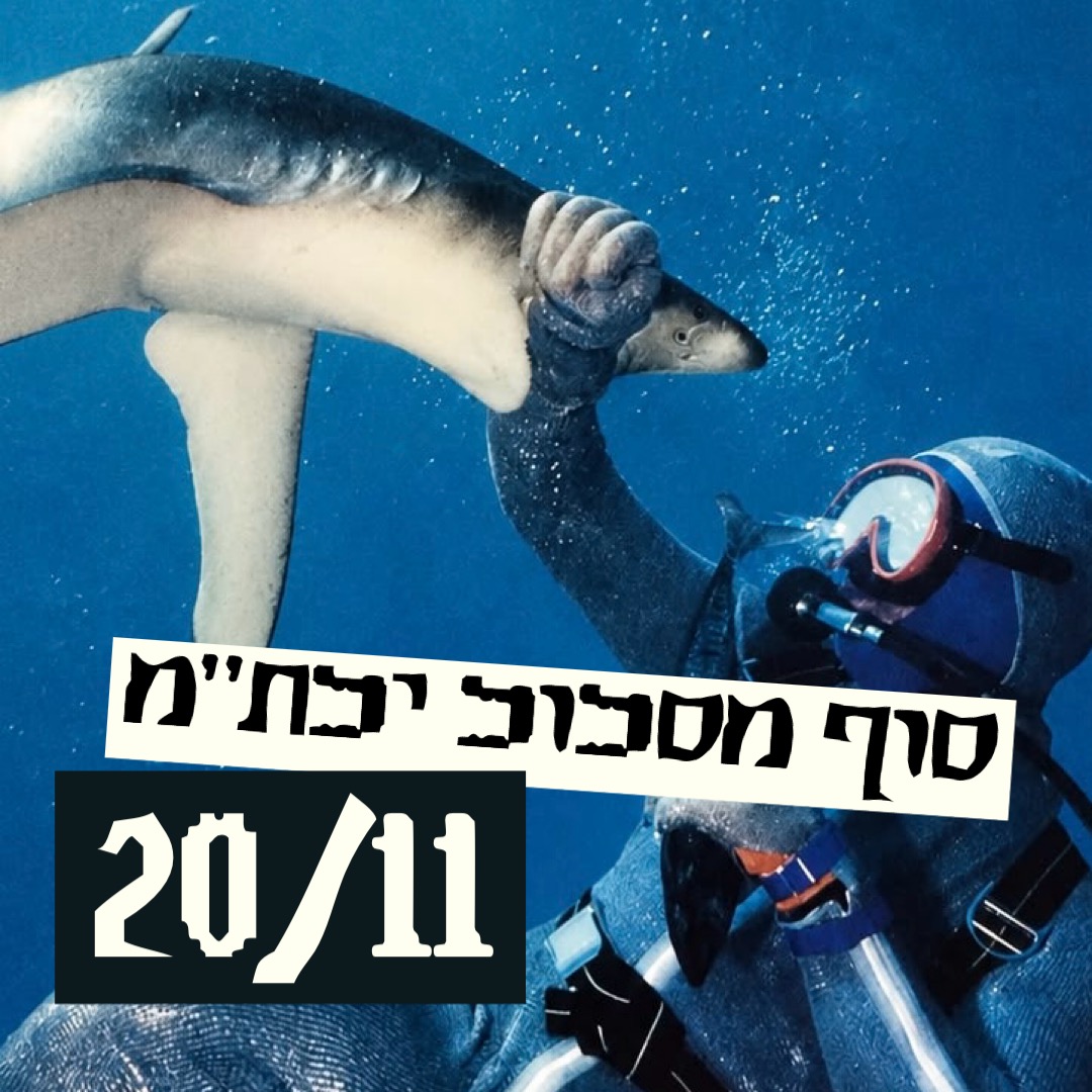 סוף מסלול ילתמ🐙