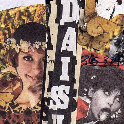 Daisies