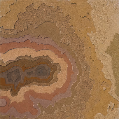 Morphologies of Transience
