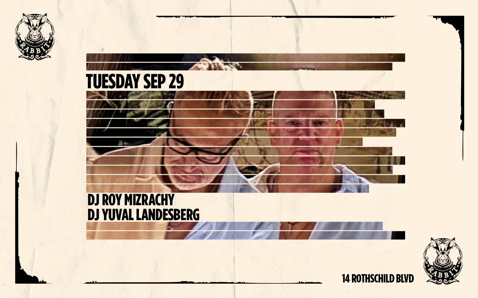 Tuesday// Rabbit //29.09//