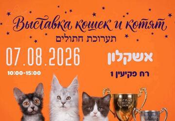 תערוכת חתולים באשקלון