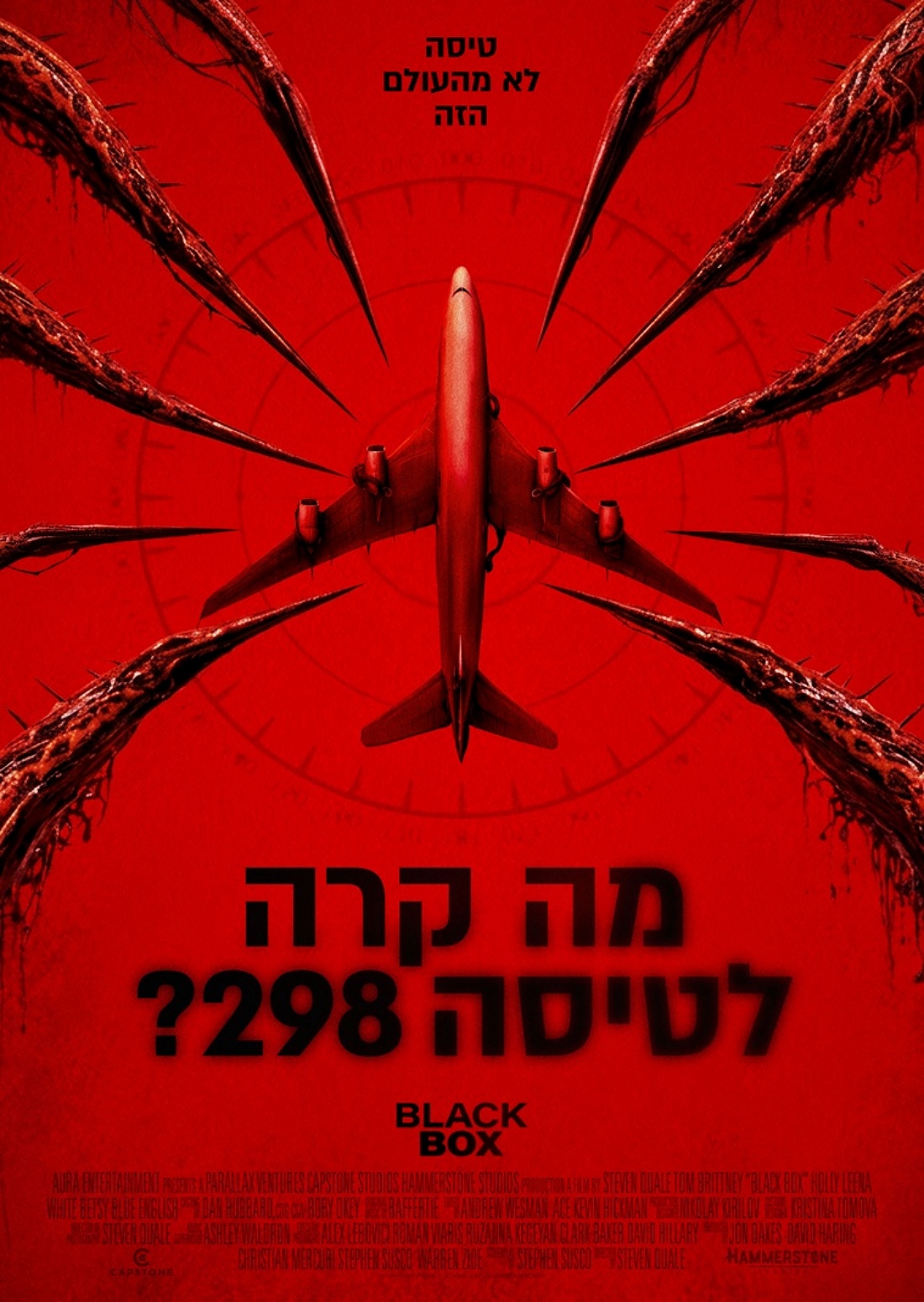 מה קרה לטיסה 298?