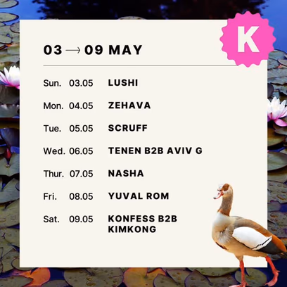 Konfess B2B Kimkong