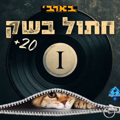 חתול בשק!