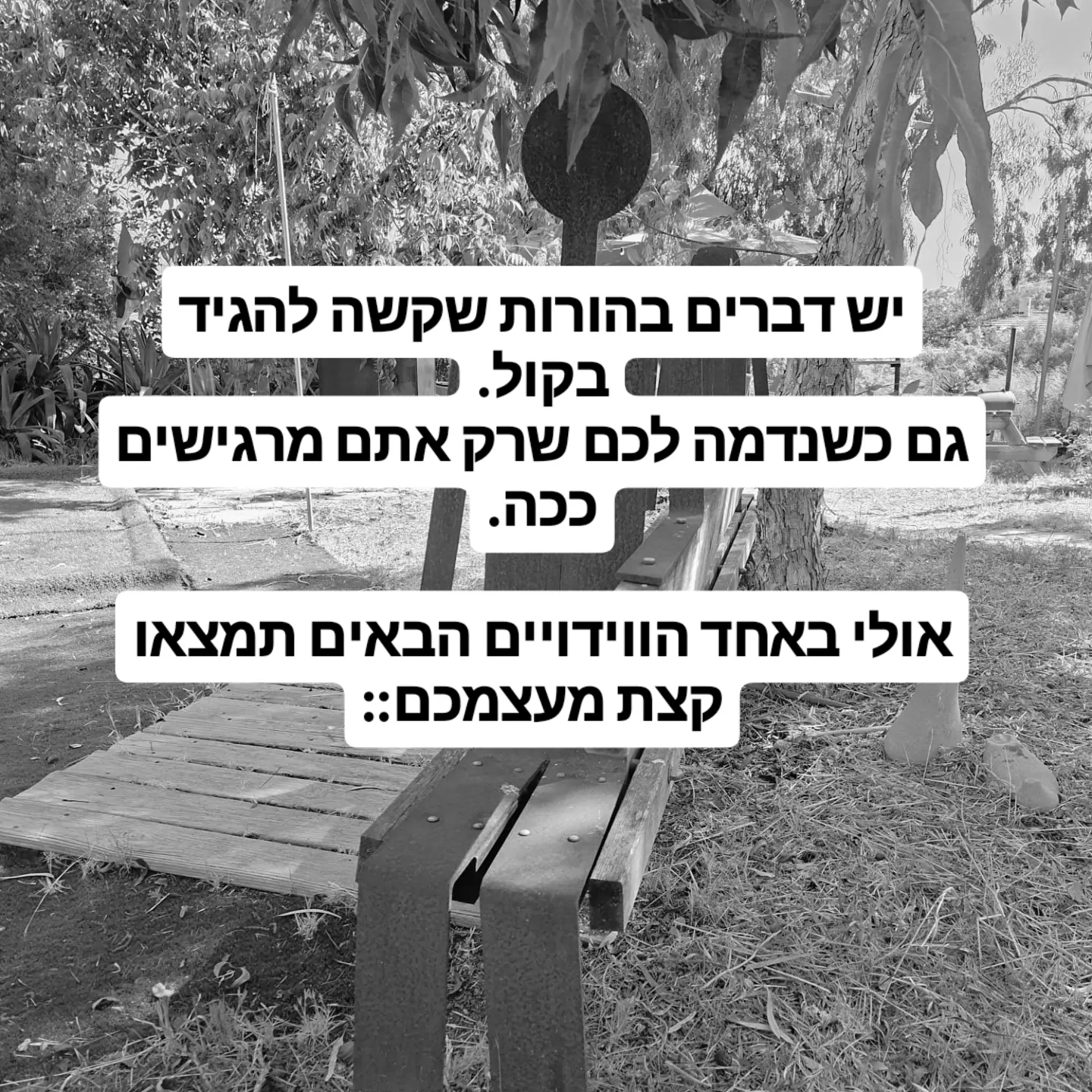 ערב וידויי הורים