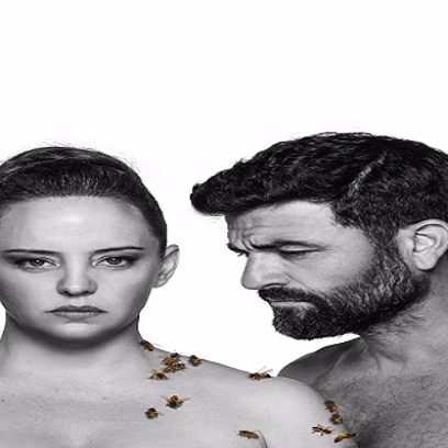 מידאה- תיאטרון הקאמרי