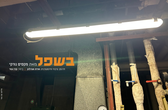 בשפל