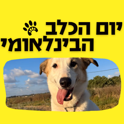יום הכלב הבינלאומי