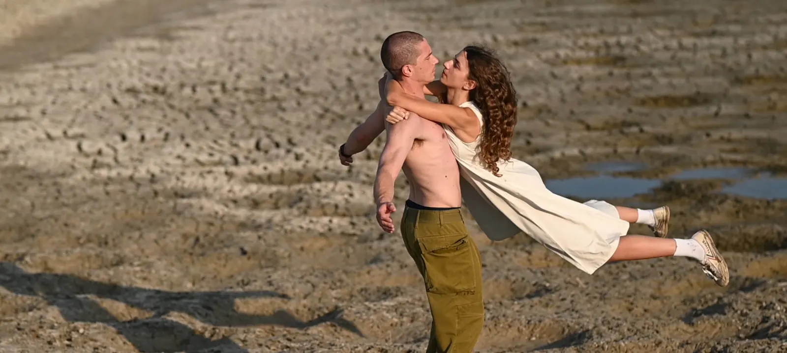 חזיתות