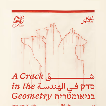 A Crack In The Geometry