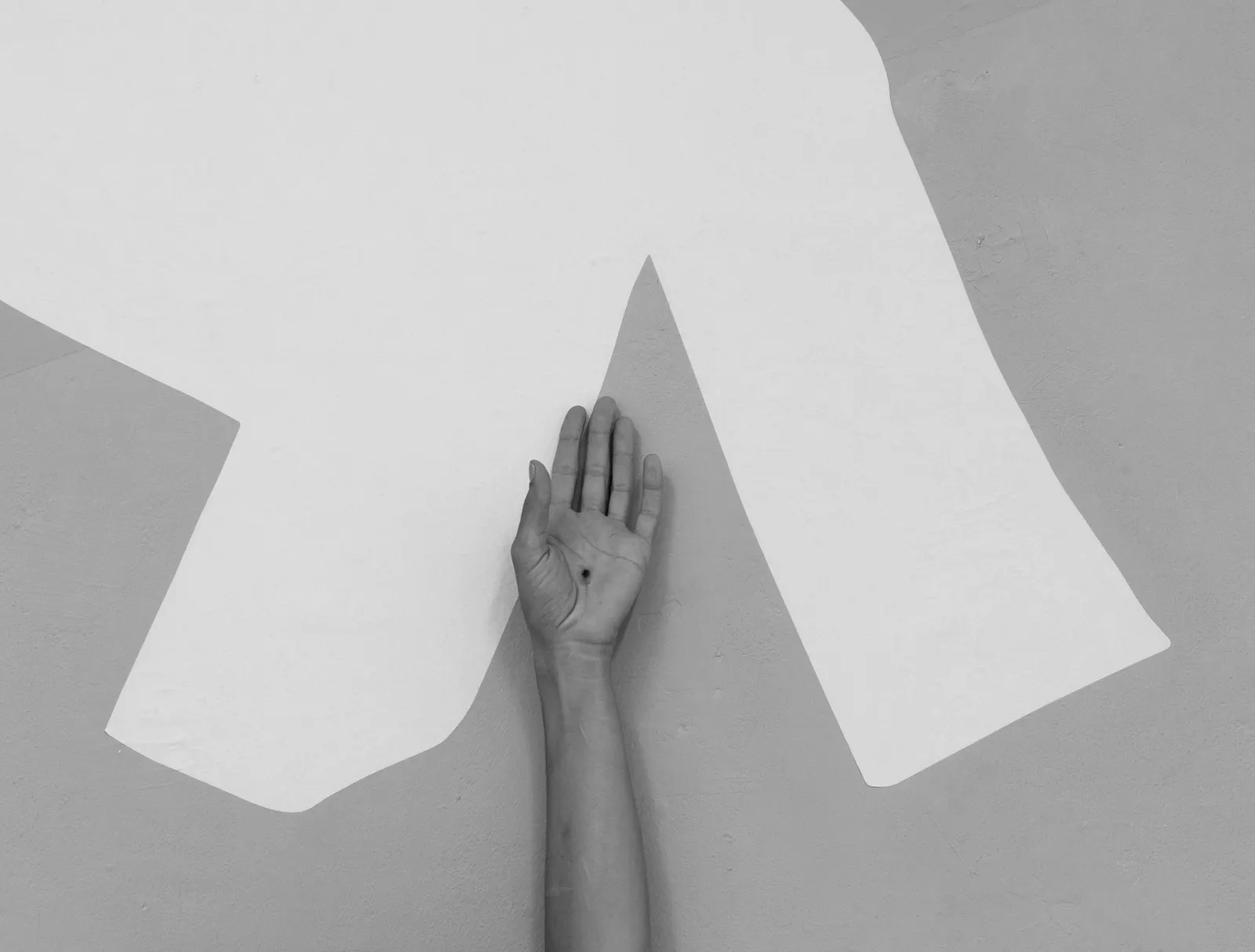 Ronny Carney: If I Had A Heart
