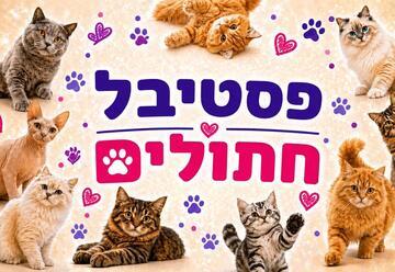 תערוכת חתולים בינלאומית ומופע קסמים!