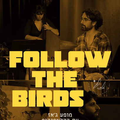 Follow the Birds